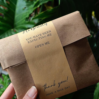 Kraft-wrapped parcel with a thank-you sticker — Pakvel
